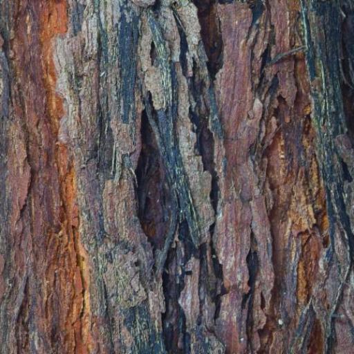 Rhodamnia rubescens — houseplant care guide