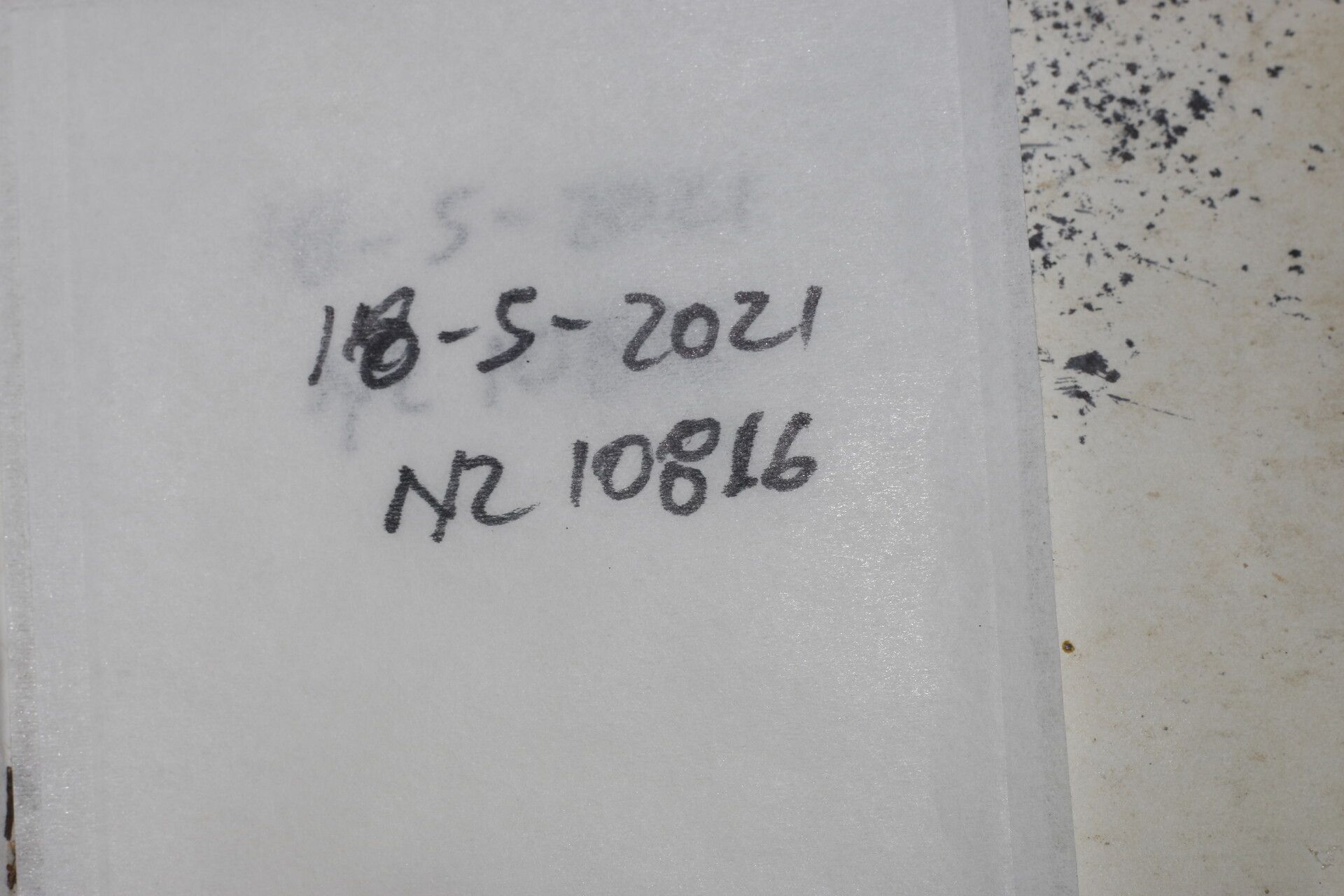 Casearia aculeata other