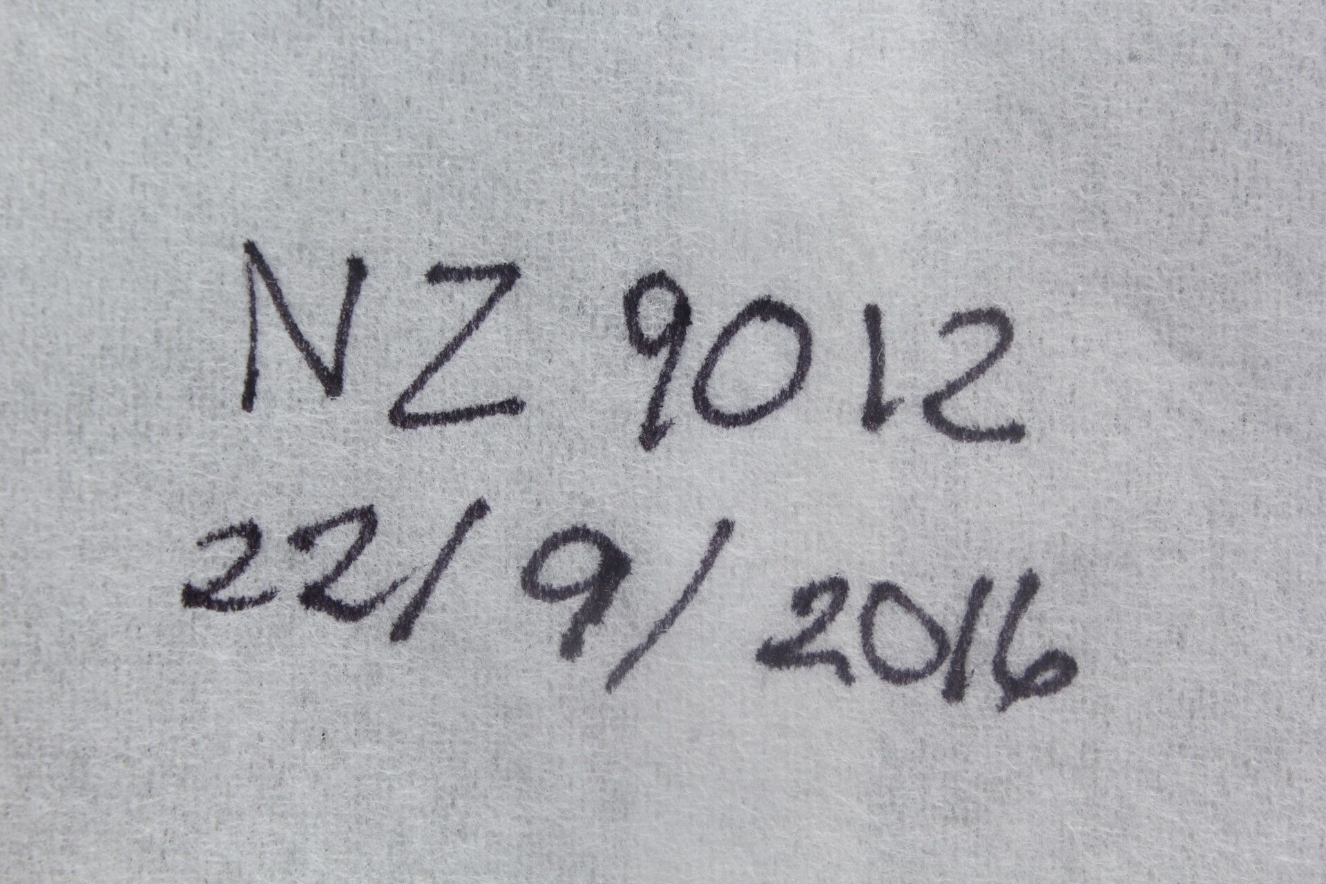 Polygala variabilis fruit