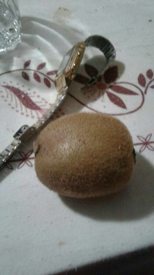 Actinidia chinensis fruit