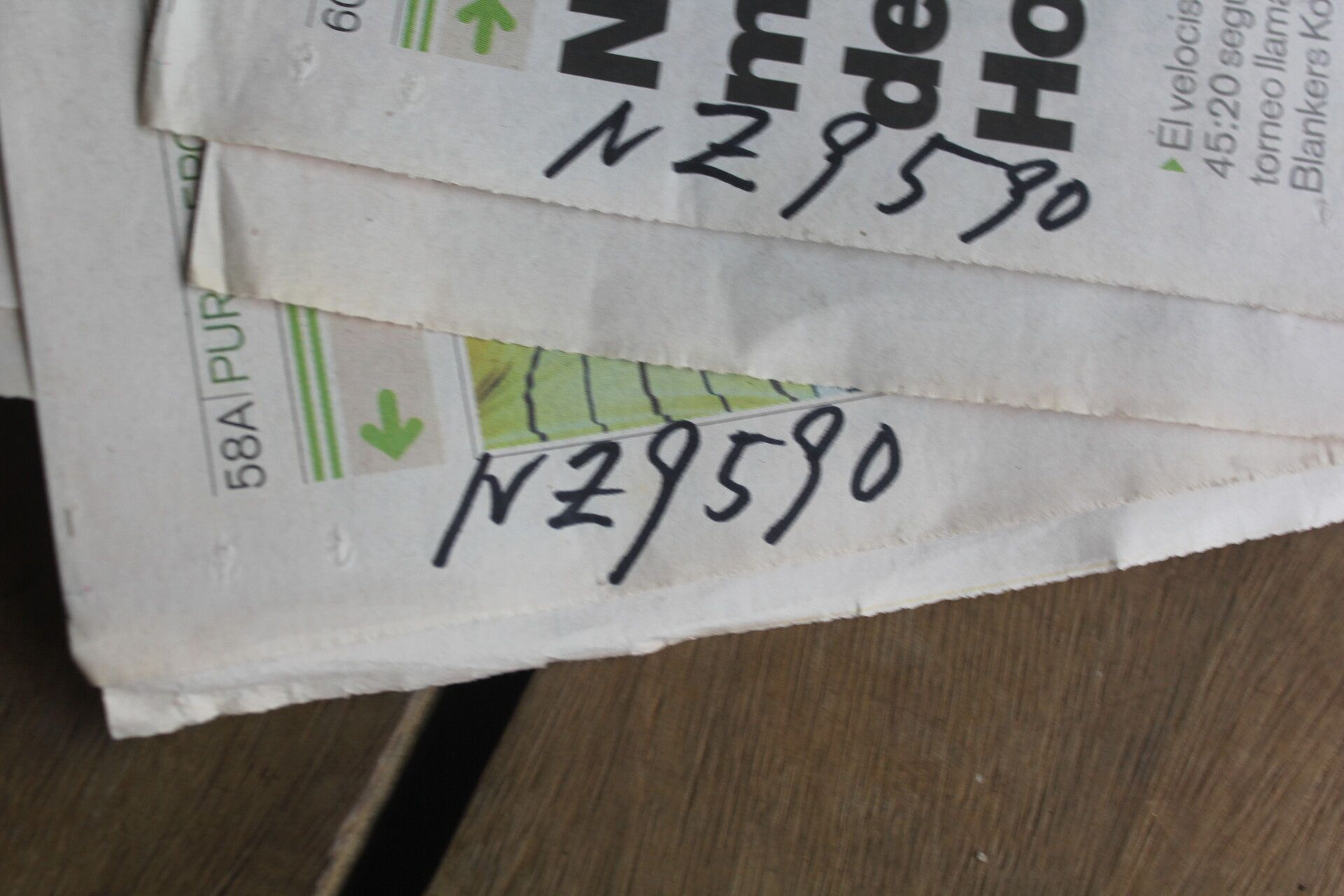 Schoepfia macrophylla fruit