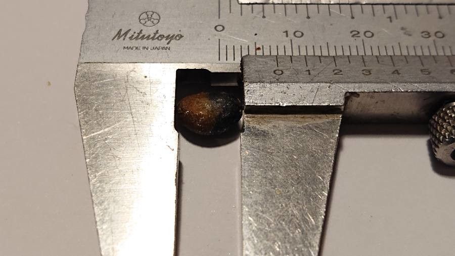 Plinia phitrantha fruit