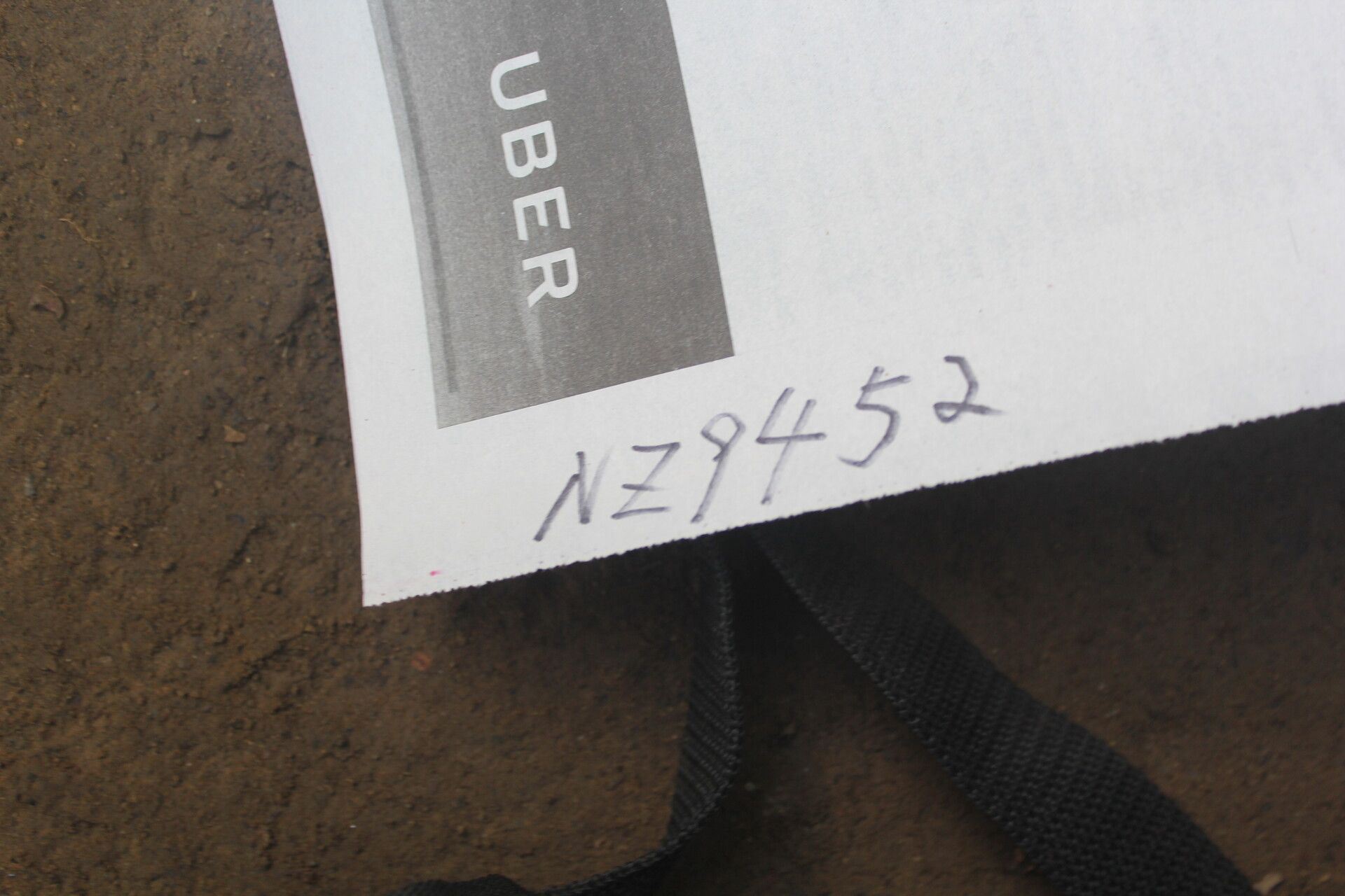 Amyris sylvatica other