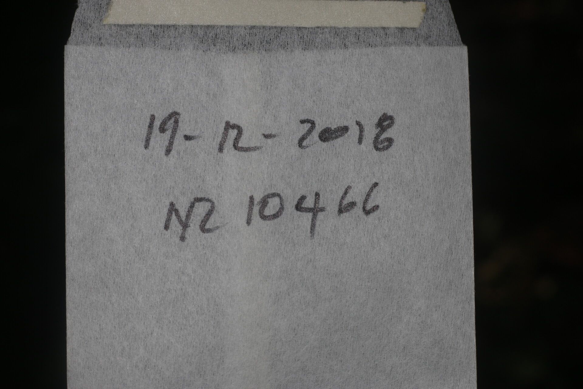 Guatteria tomentosa other