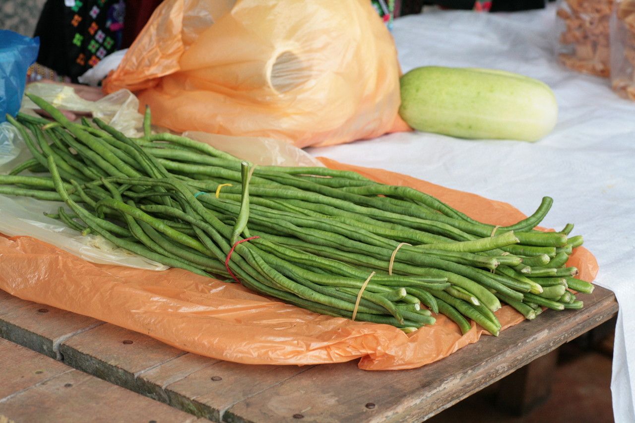Vigna unguiculata fruit