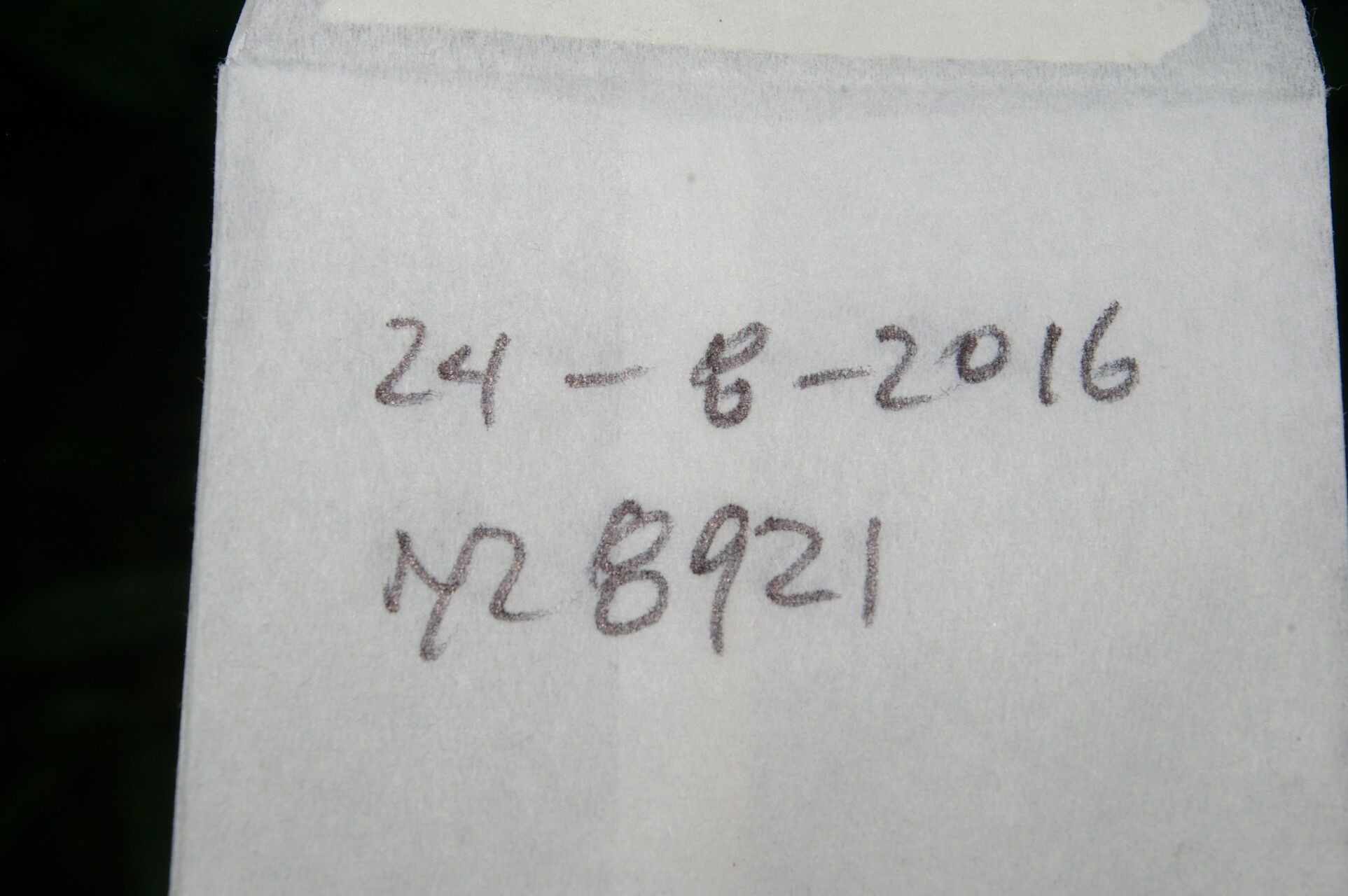 Tetrapterys styloptera other