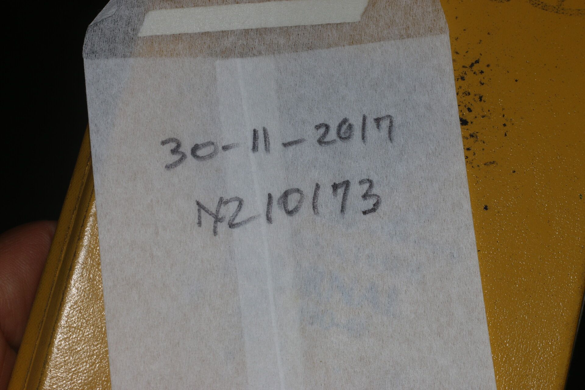 Cordia croatii other