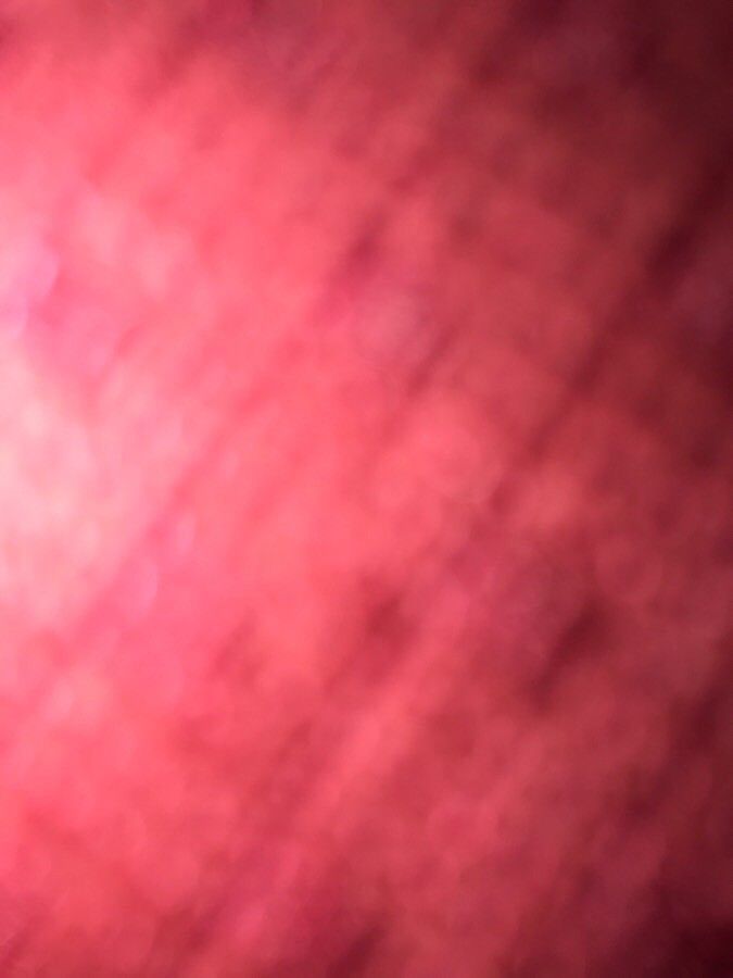 Coccineorchis cristata — houseplant care guide