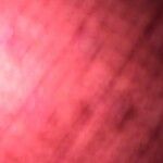 Coccineorchis cristata