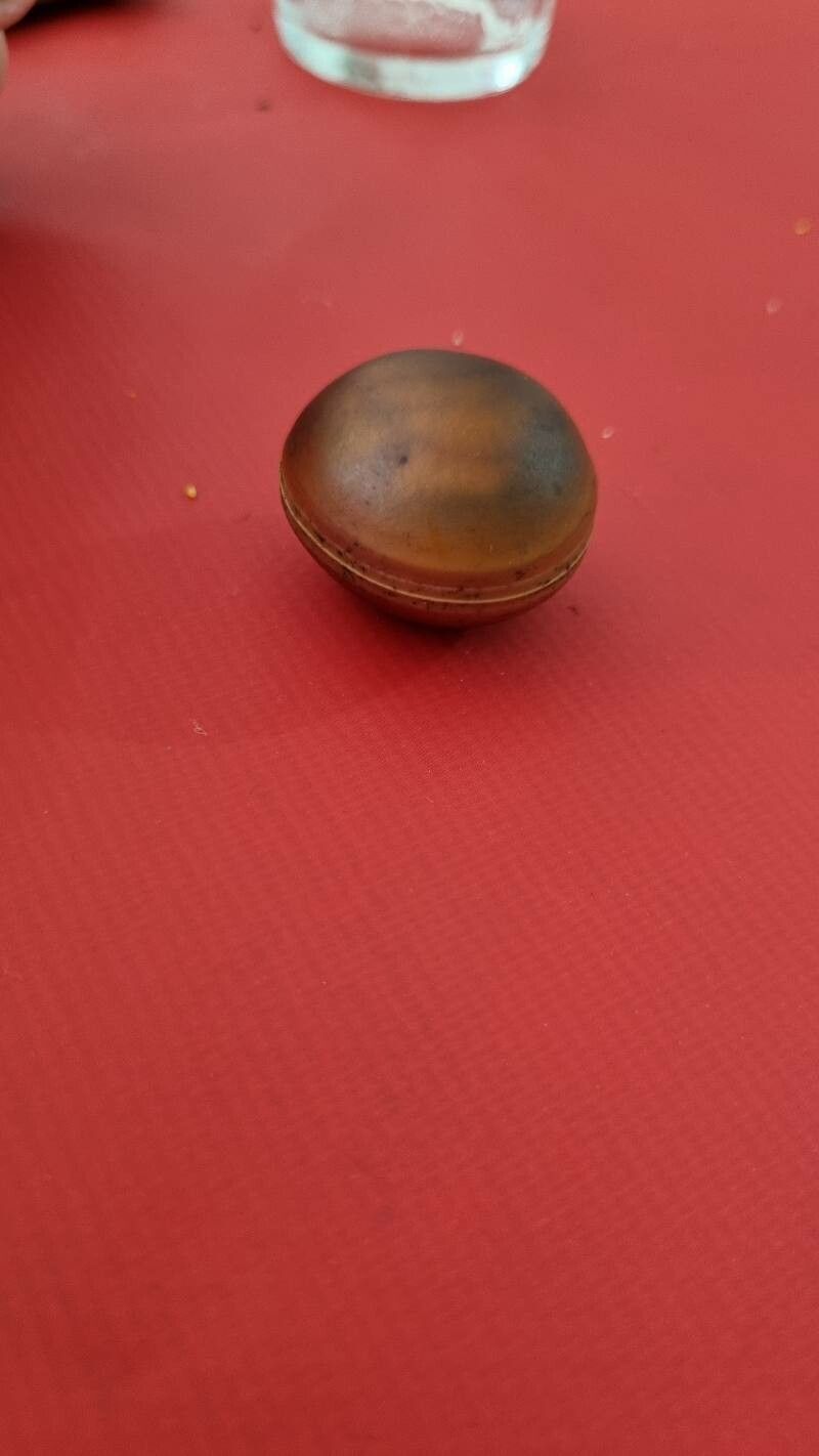 Mucuna sloanei fruit