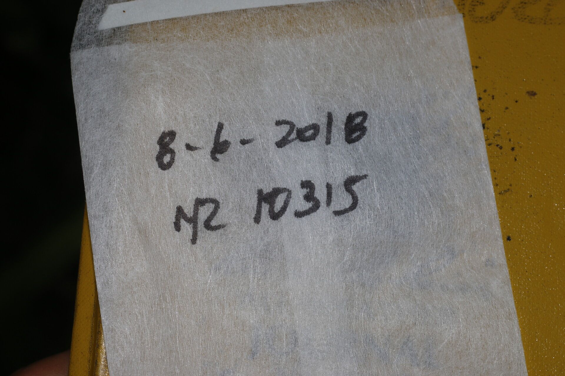 Phyllanthus anisolobus other