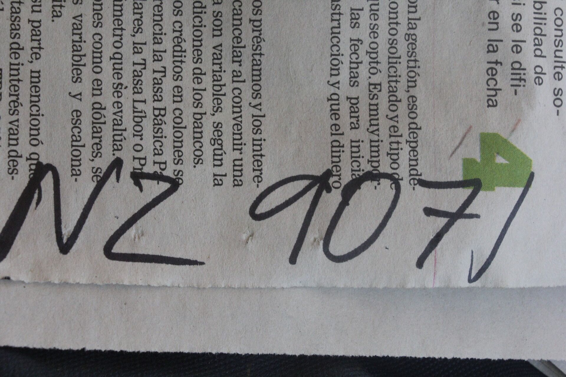 Alophia silvestris fruit