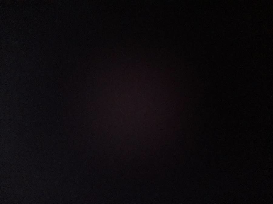 Lepechinia meyenii bark