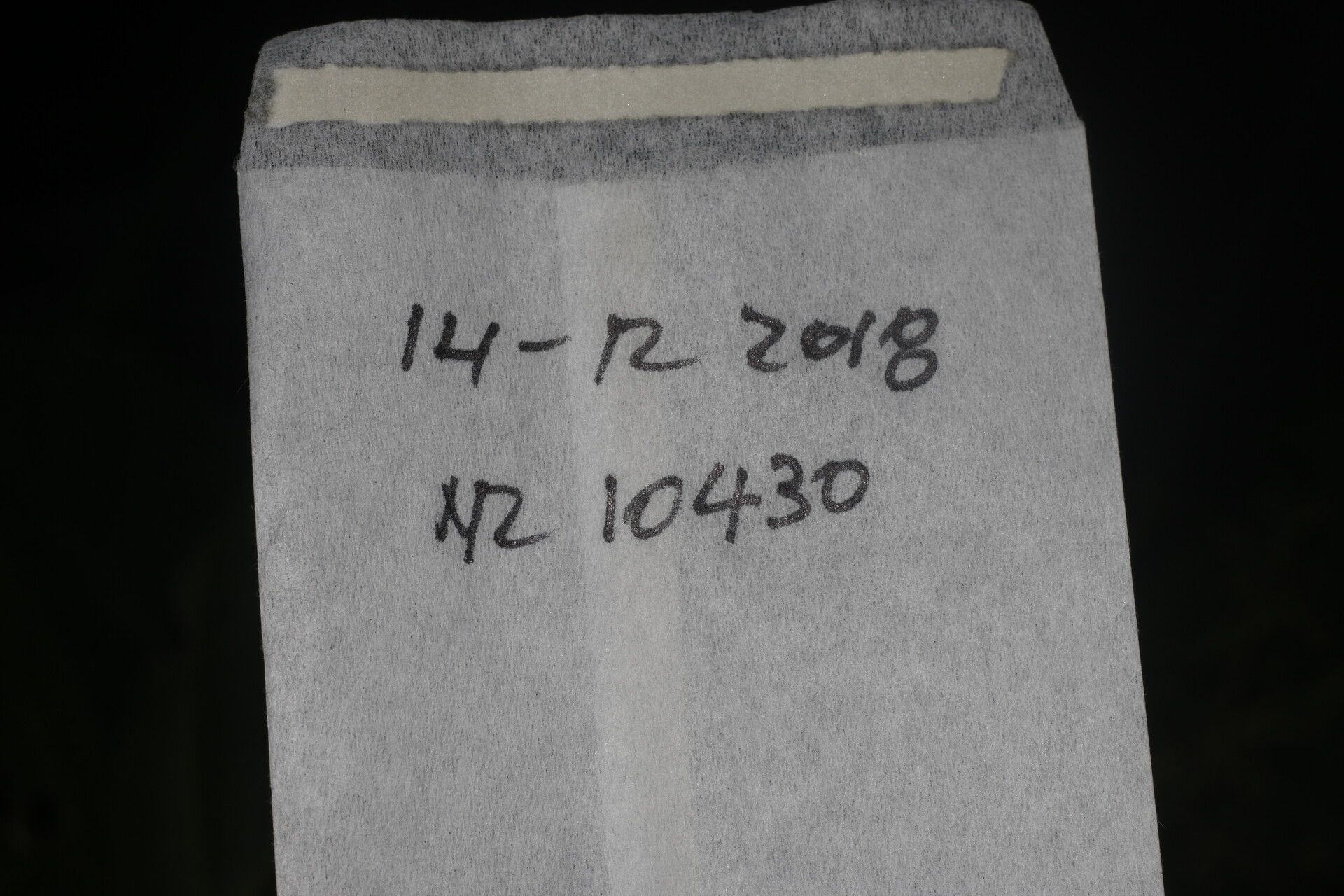 Beilschmiedia costaricensis other