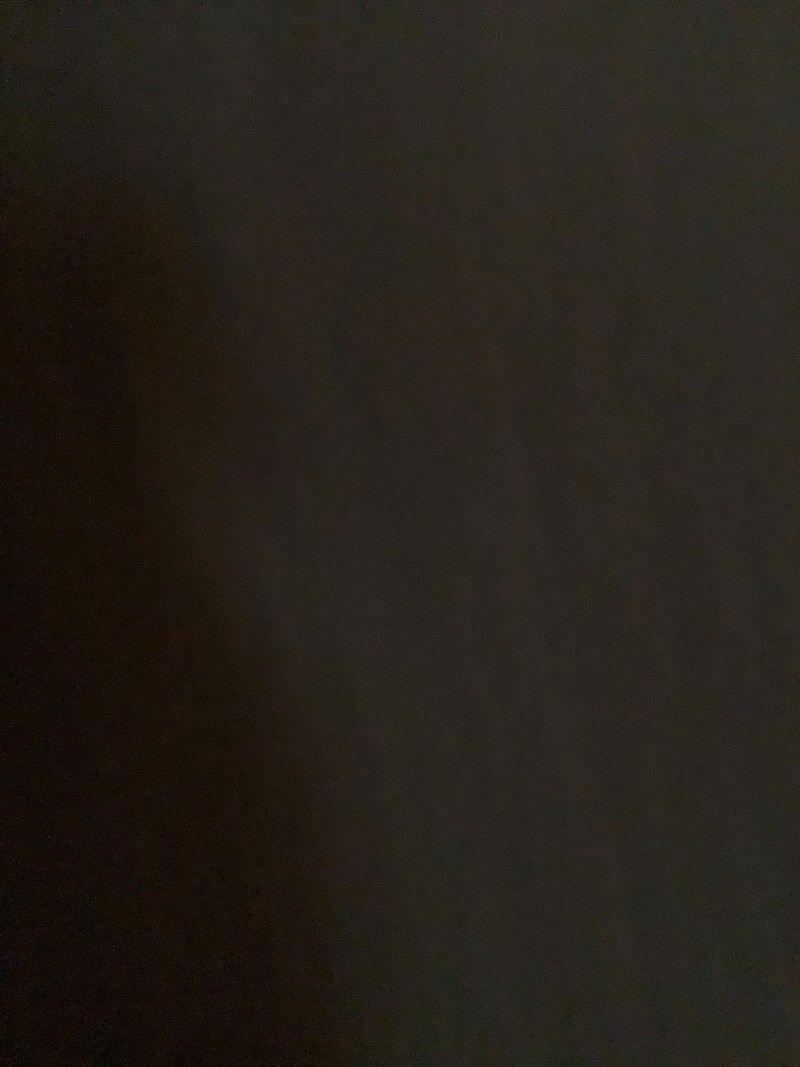 Lepechinia meyenii bark