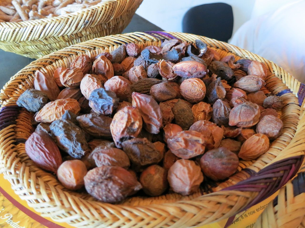 Argania spinosa fruit