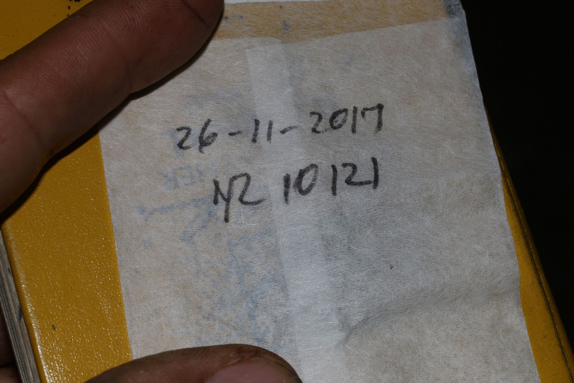 Ruellia stemonacanthoides other