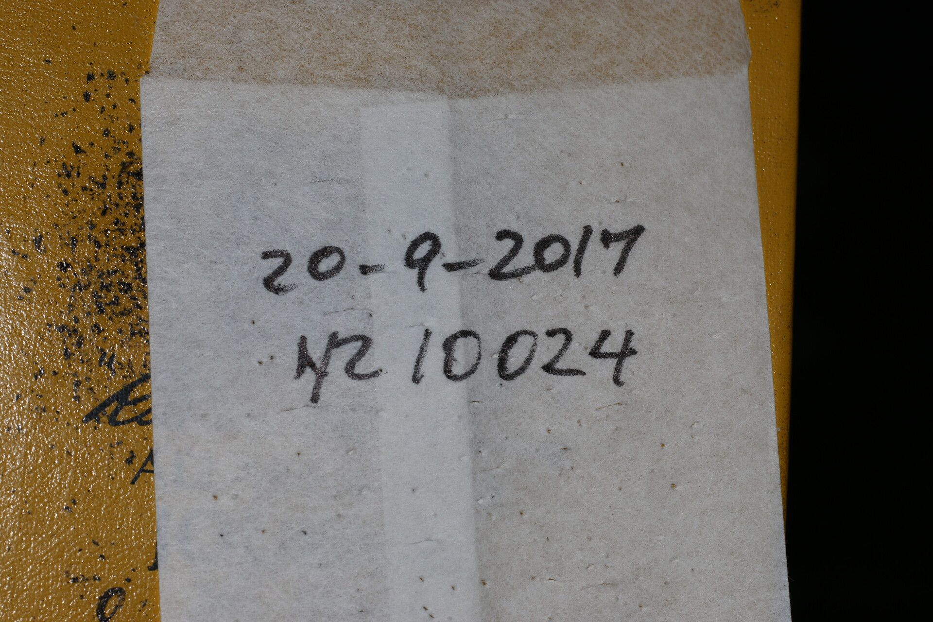 Pouzolzia guatemalana other