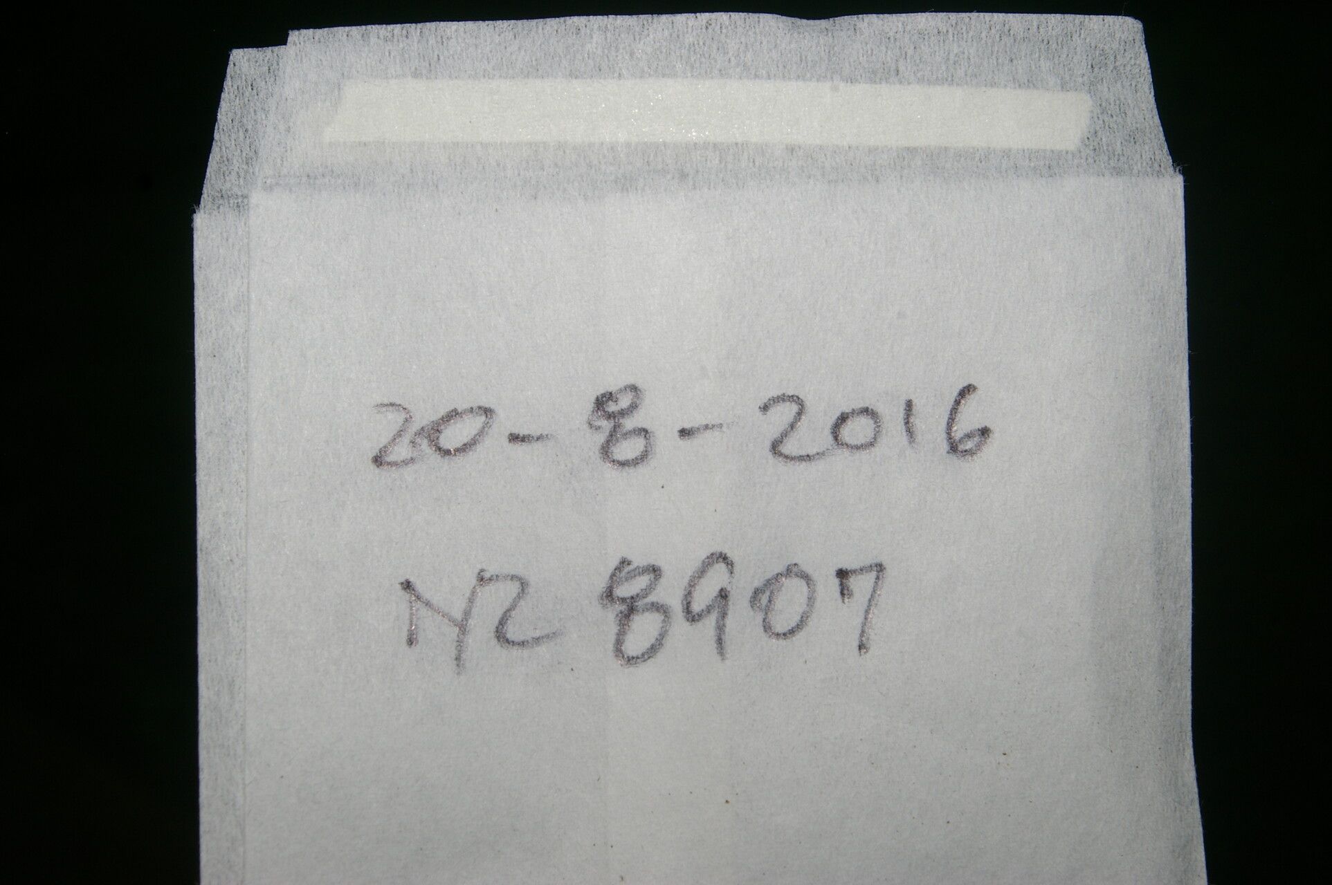 Psychotria lamarinensis other