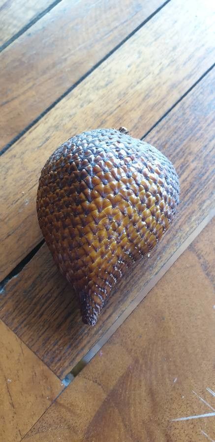 Salacca zalacca fruit