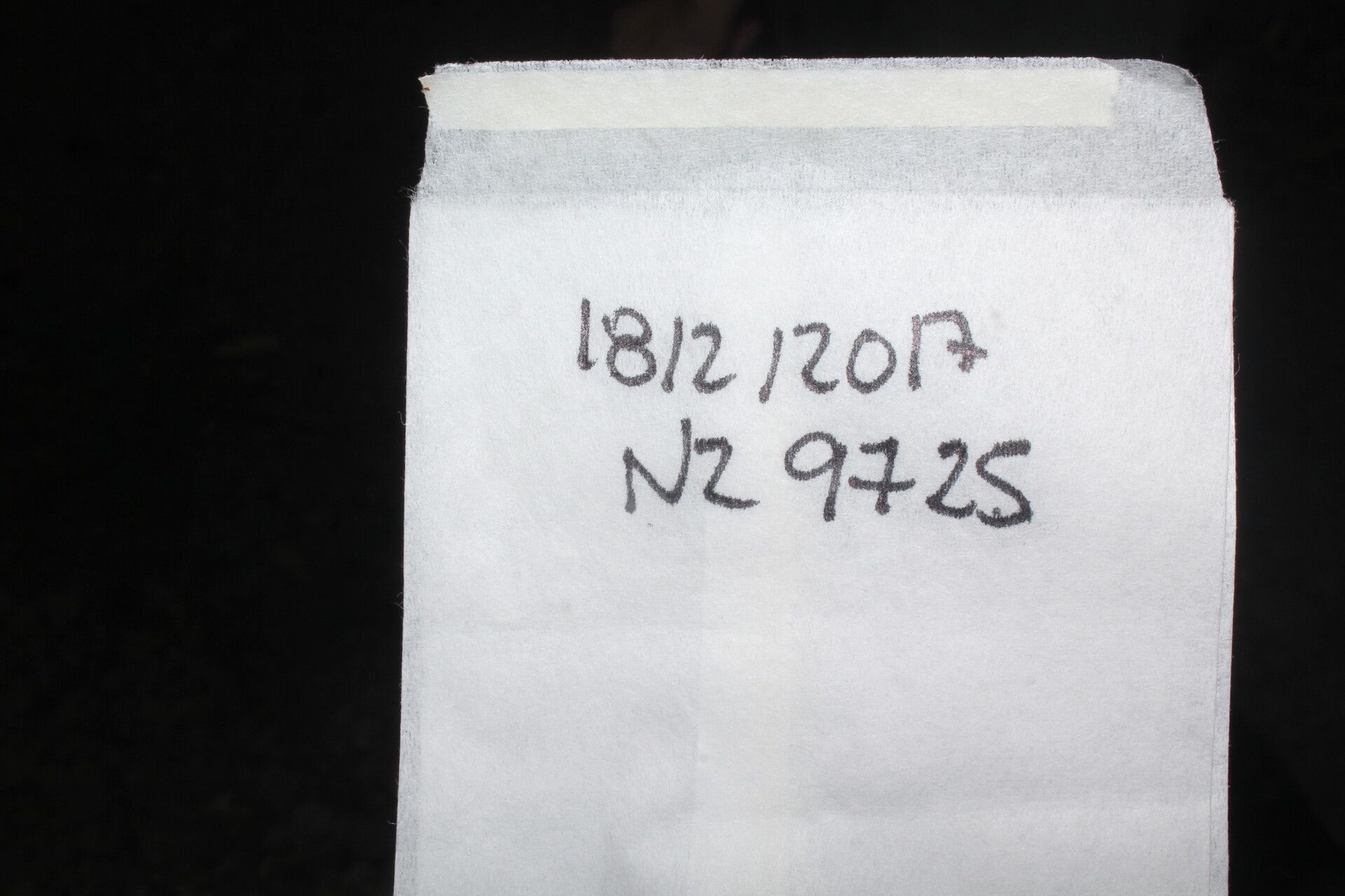 Schoepfia vacciniiflora other