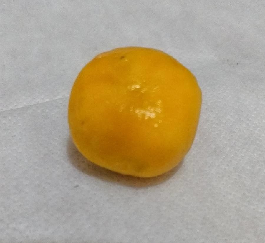 Eugenia dysenterica fruit