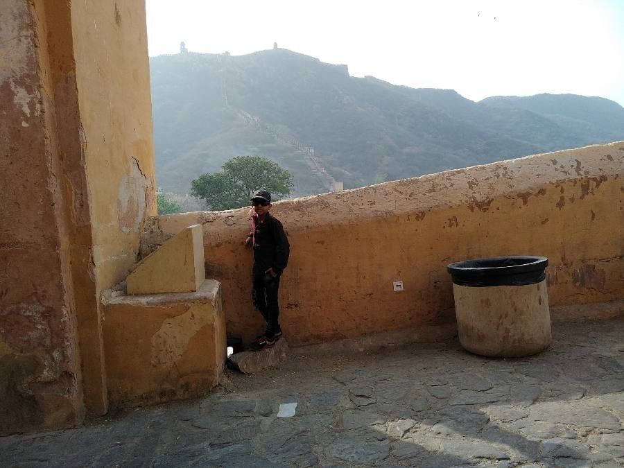 Vachellia erioloba leaf