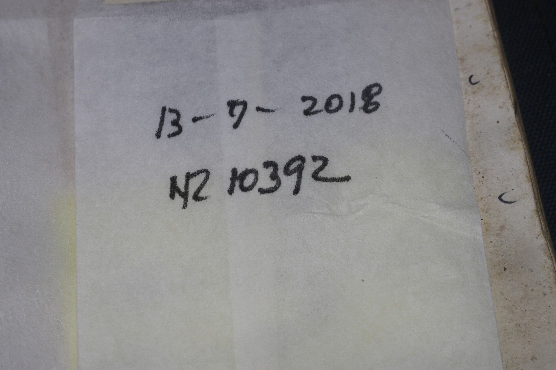 Indigofera trita other