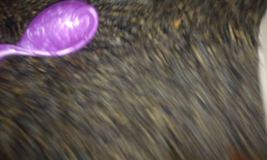 Ptaeroxylon obliquum flower