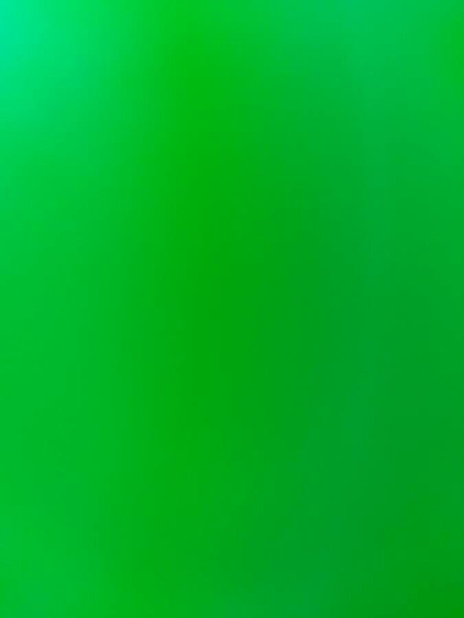 Maxillaria valenzuelana — houseplant care guide