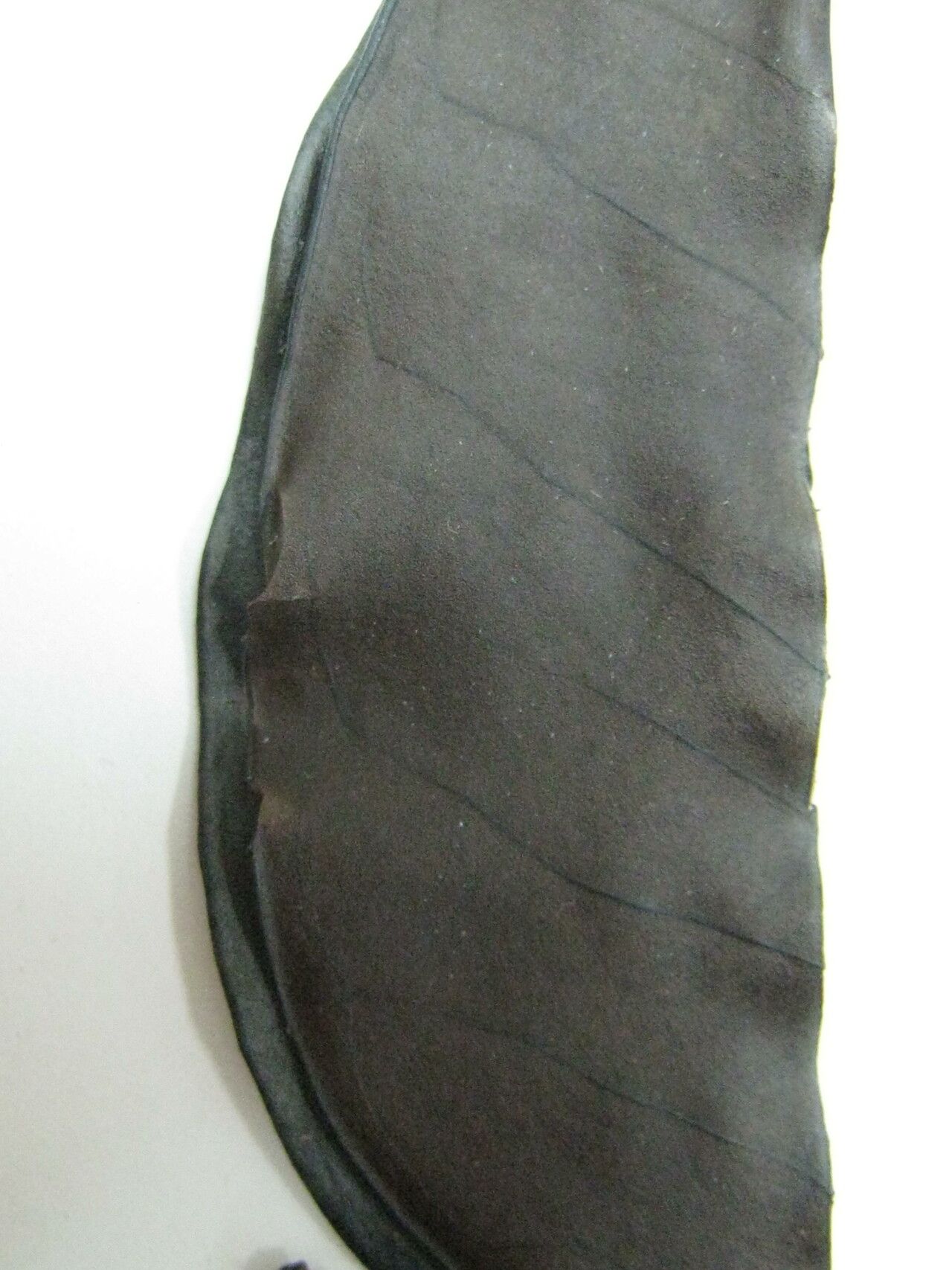 Mouriri vernicosa — search result for 'Mouriri'