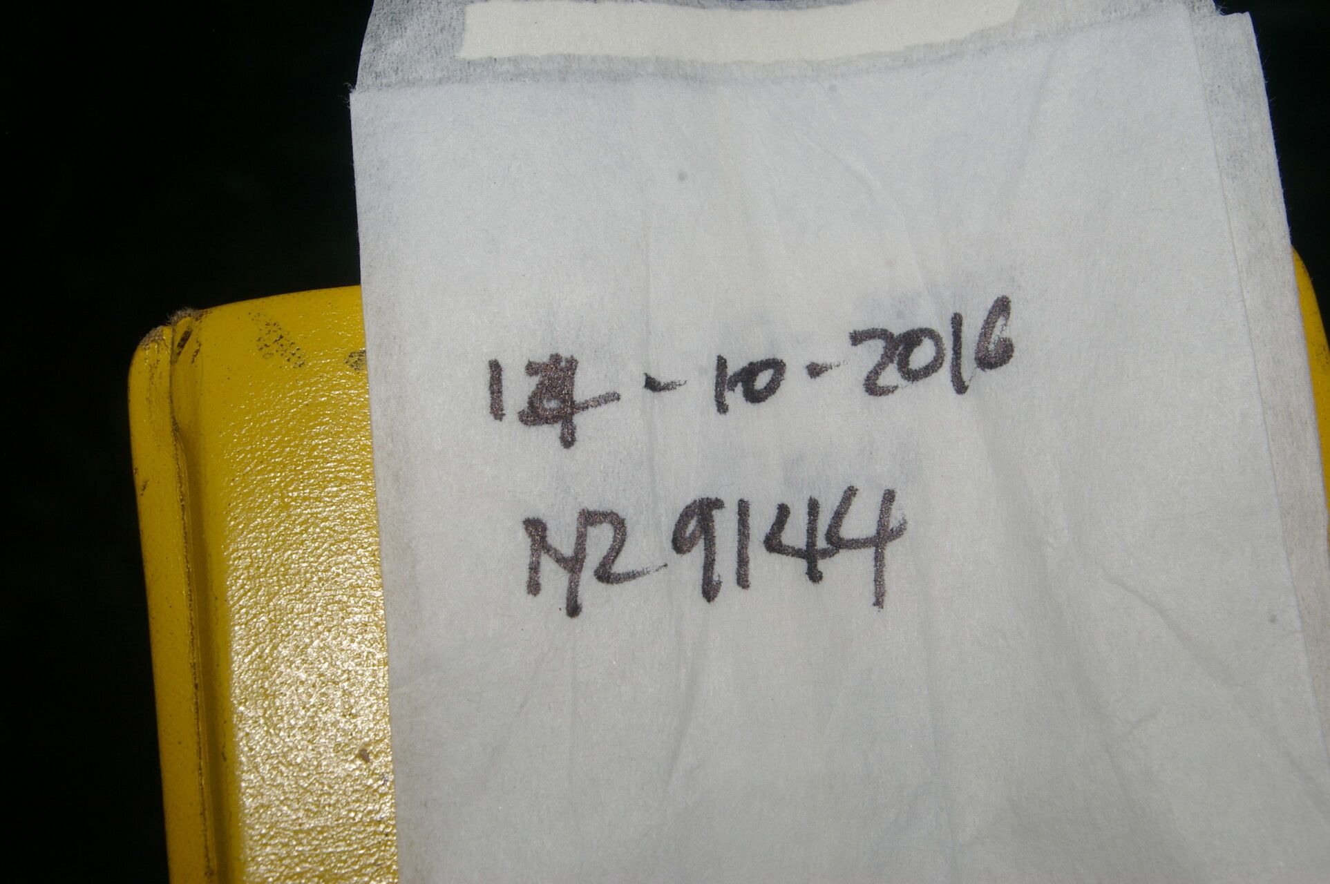 Ocotea helicterifolia other