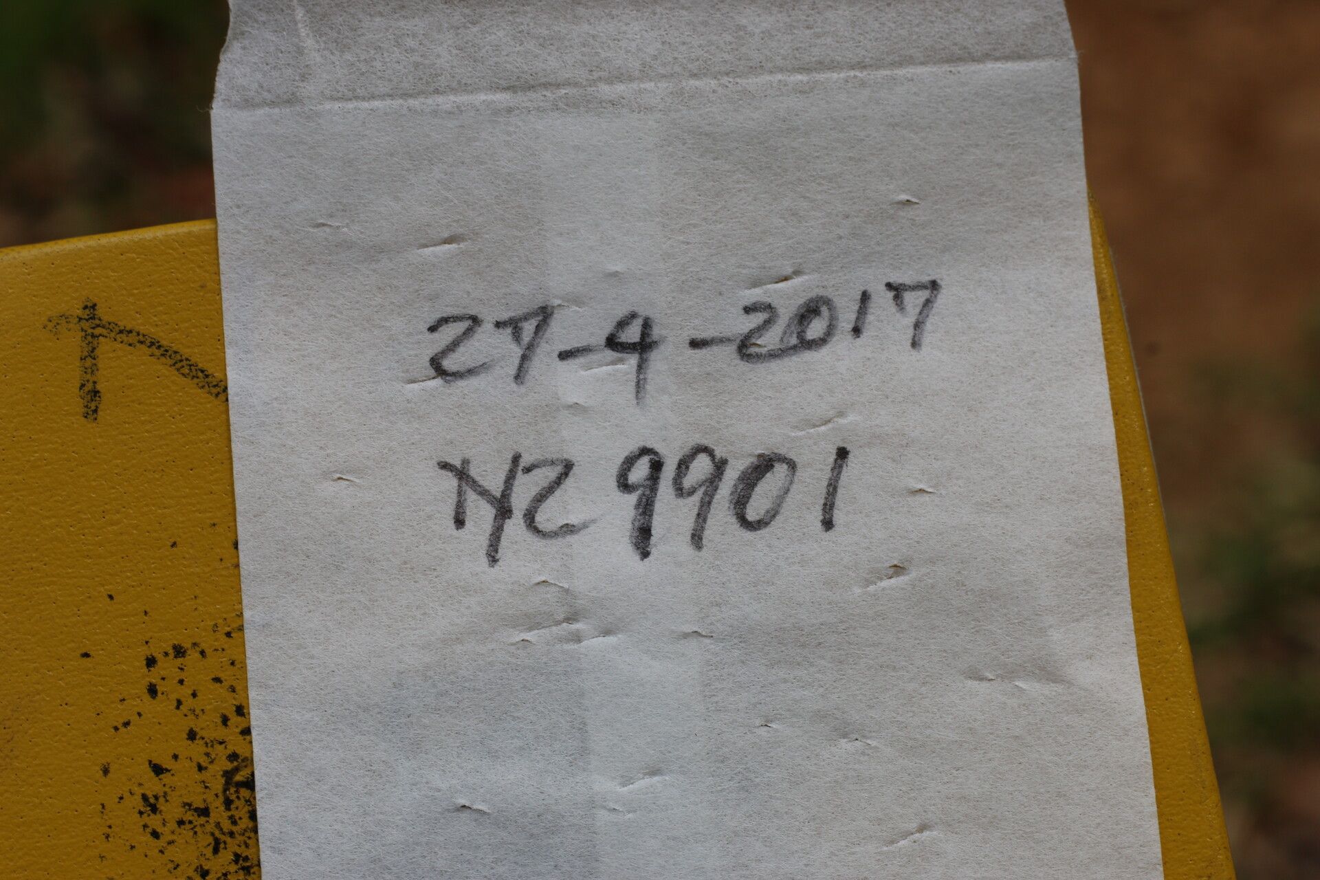 Rhynchosia erythrinoides other