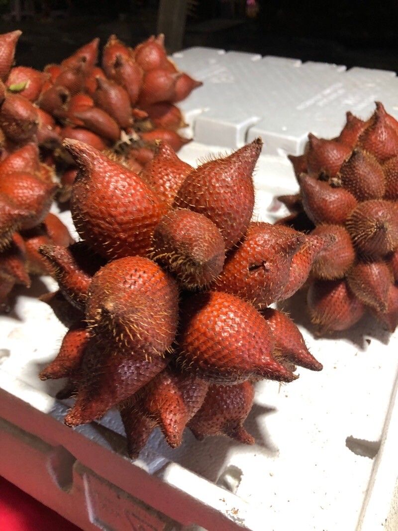 Salacca affinis fruit