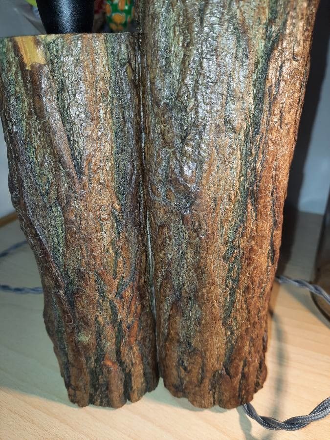 Brachylaena transvaalensis — search result for 'Brachylaena'