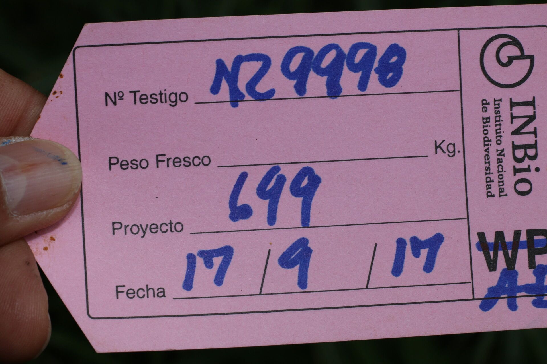 Annona pruinosa other