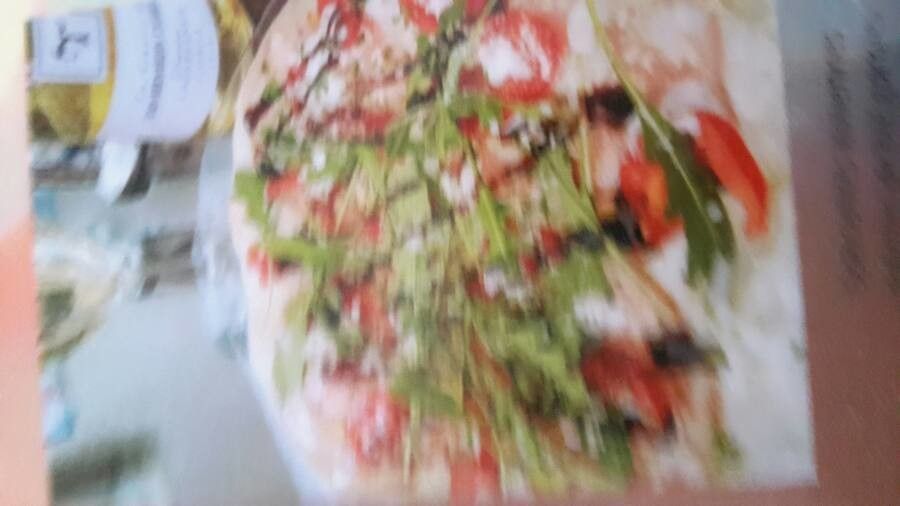 Rumex paucifolius — search result for 'Polygonaceae'