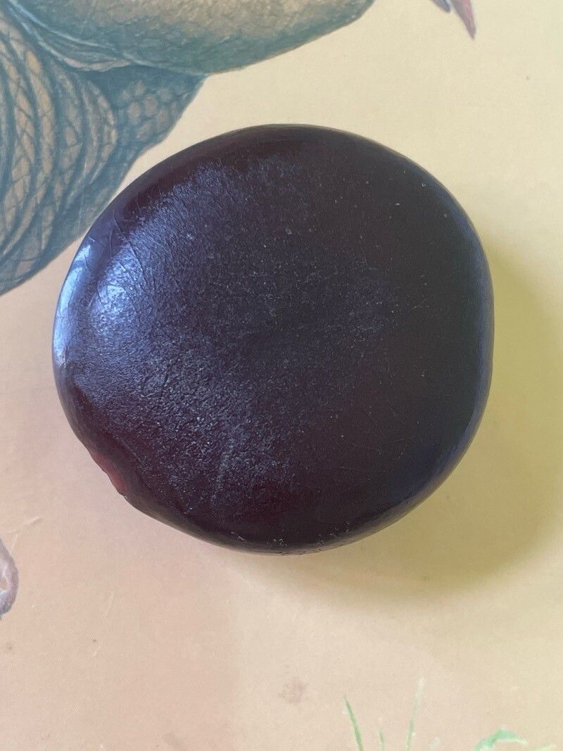 Entada rheedii — search result for 'Entada'