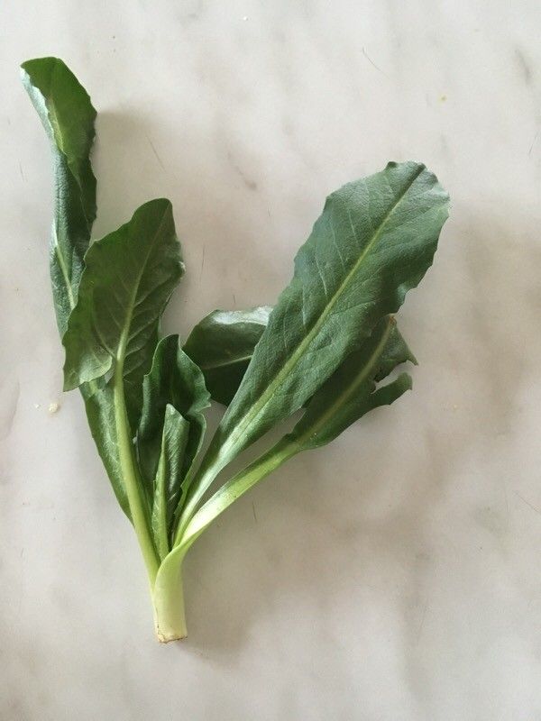 Coincya richeri leaf