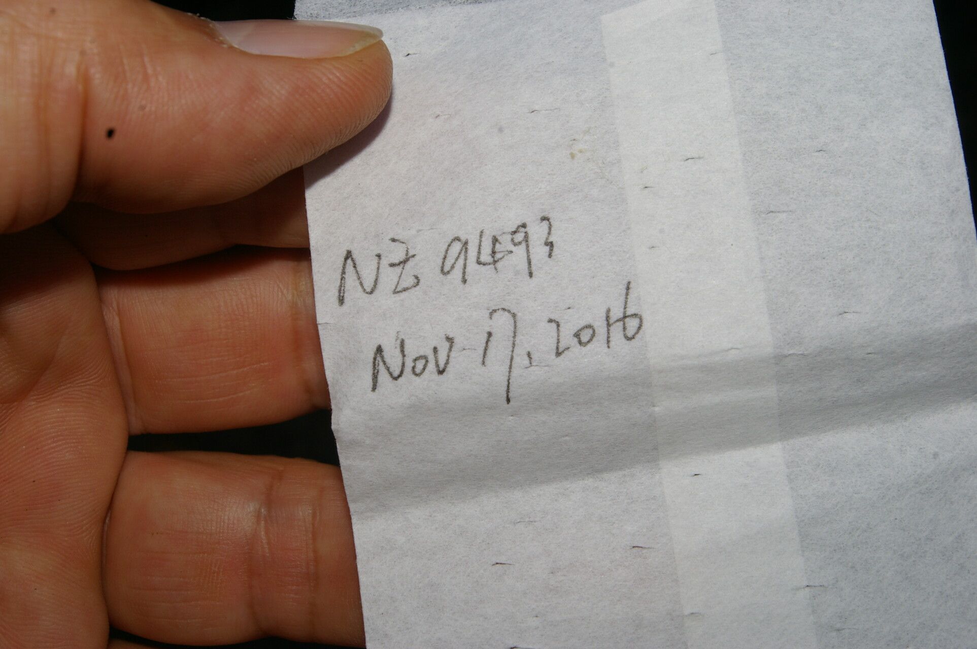 Desmodium angustifolium other