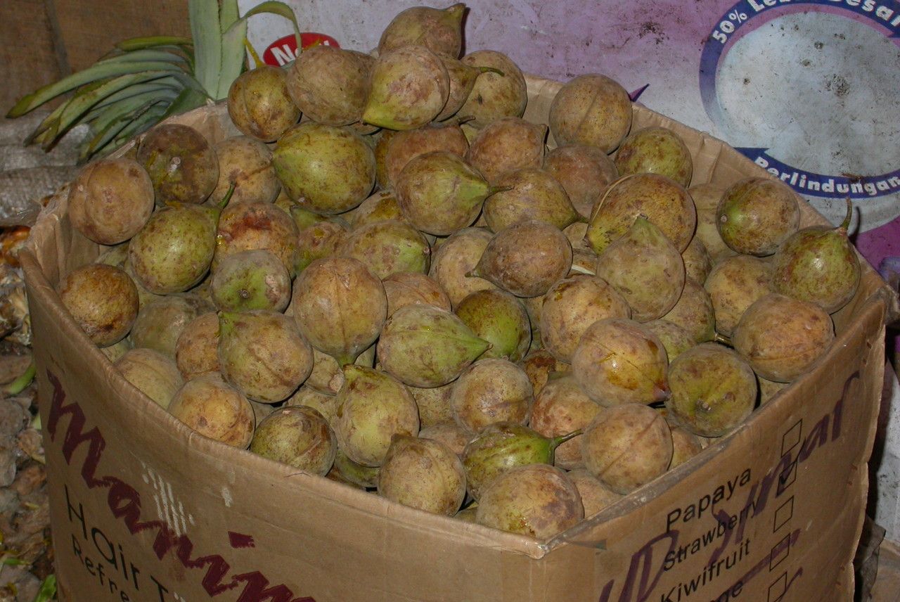 Myristica fragrans fruit