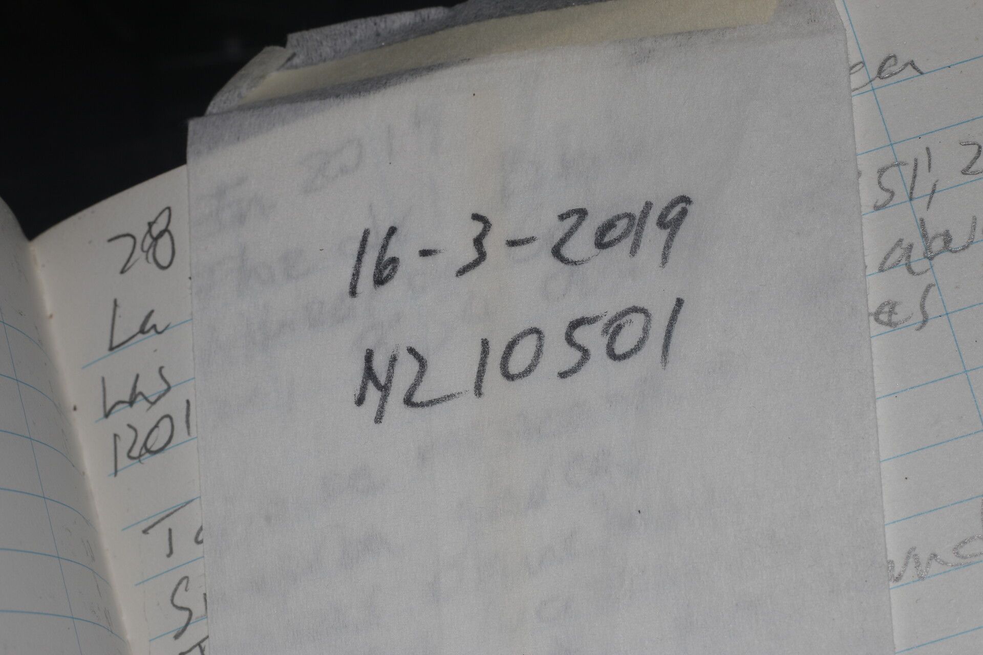 Licania costaricensis other