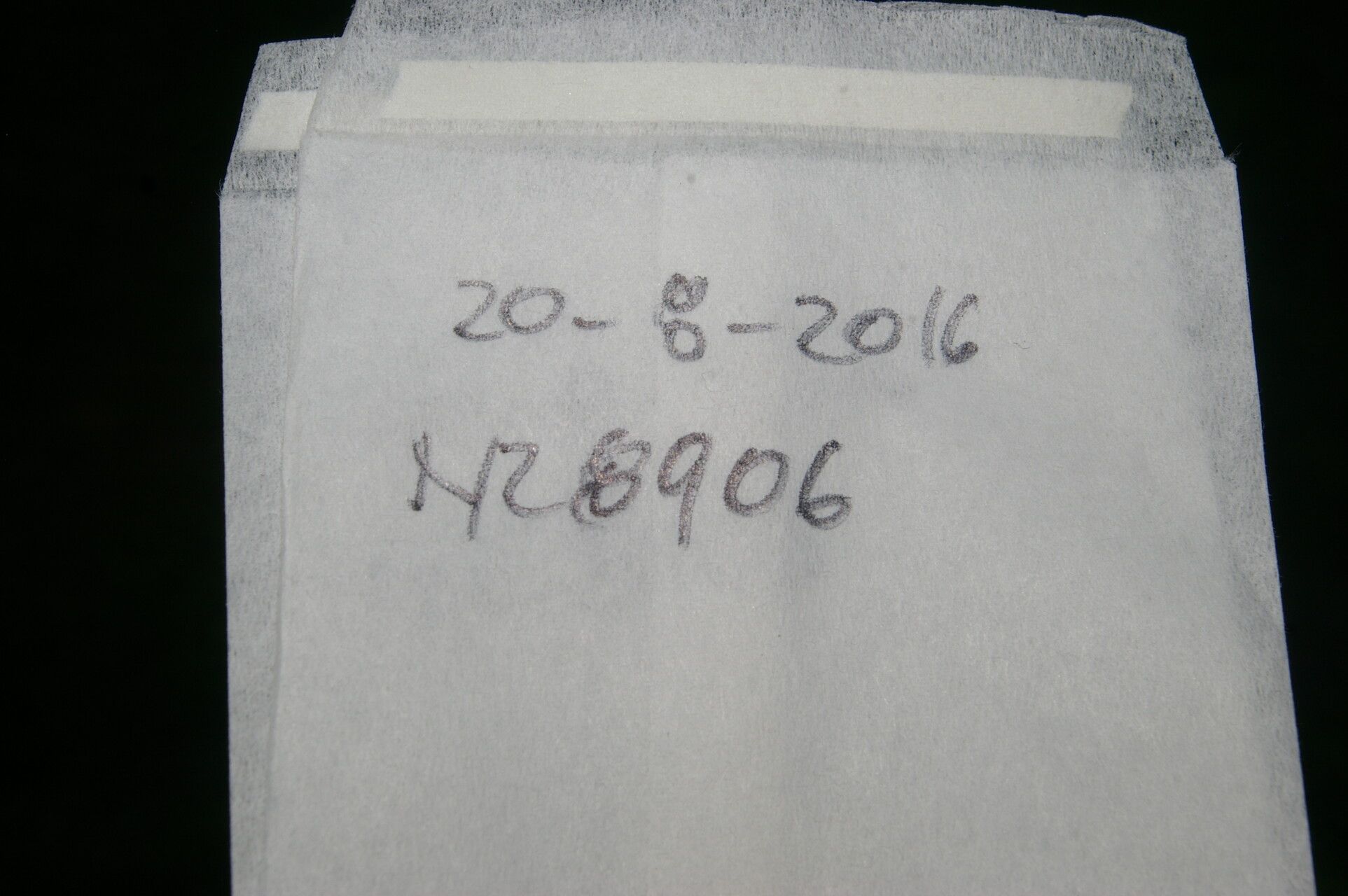 Psychotria neillii other