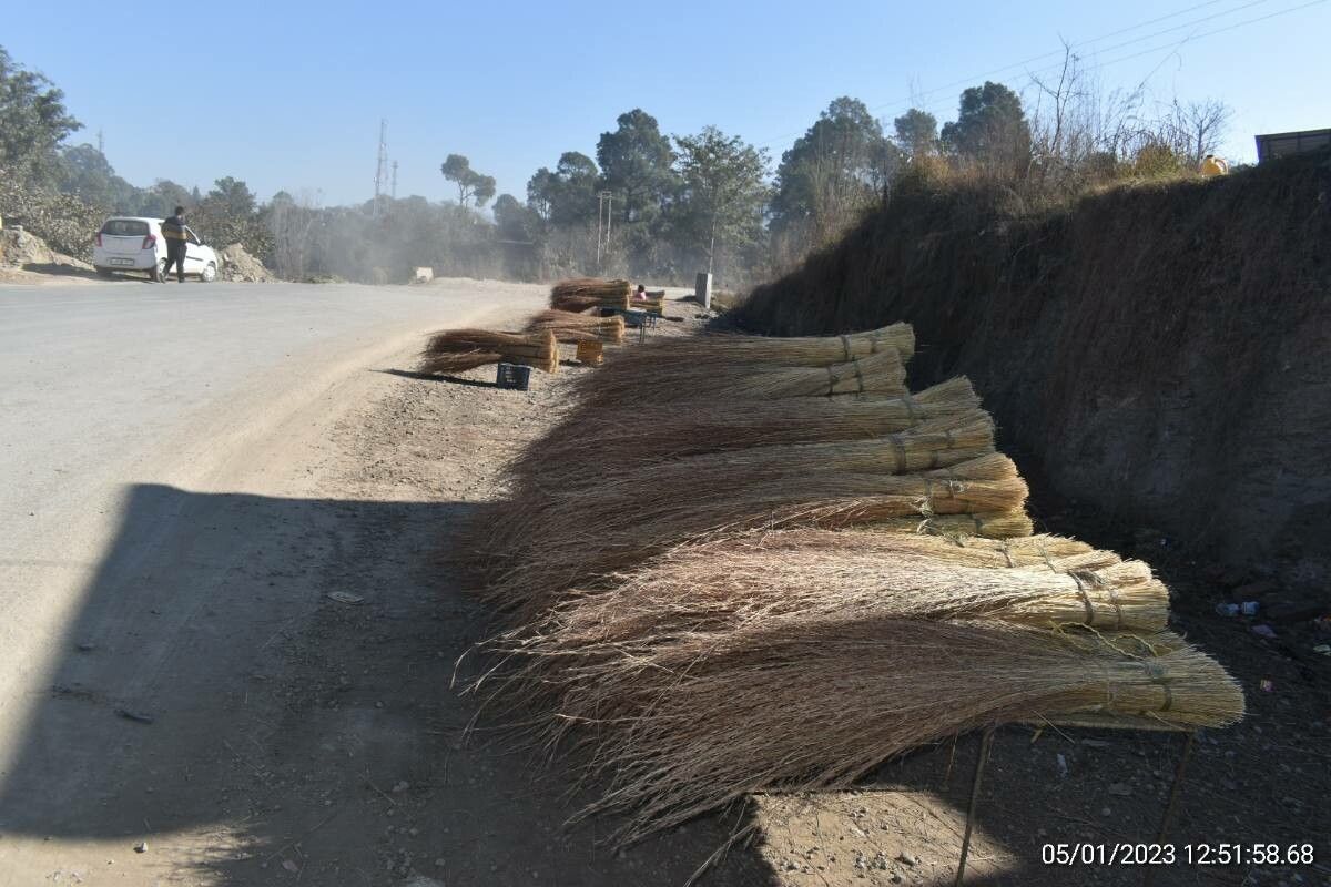 Themeda anathera bark