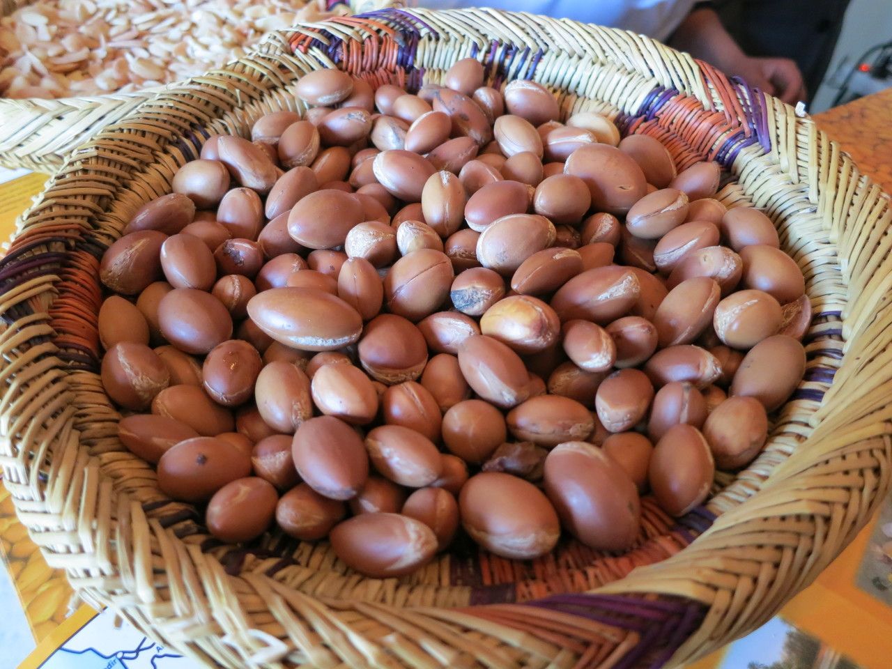 Sideroxylon spinosum fruit