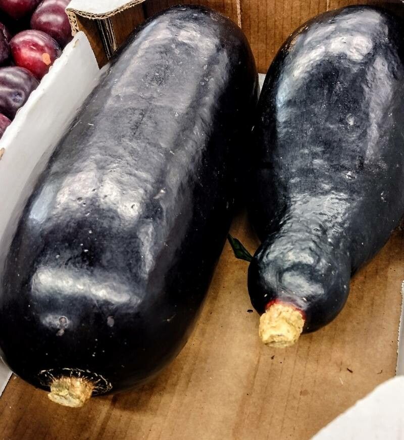 Sicana odorifera fruit