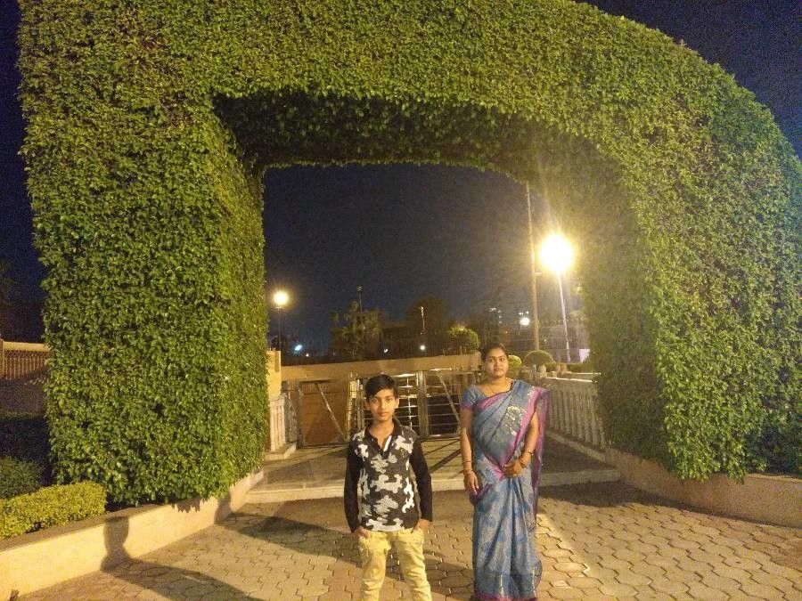 Utricularia gibba — search result for 'Utricularia'