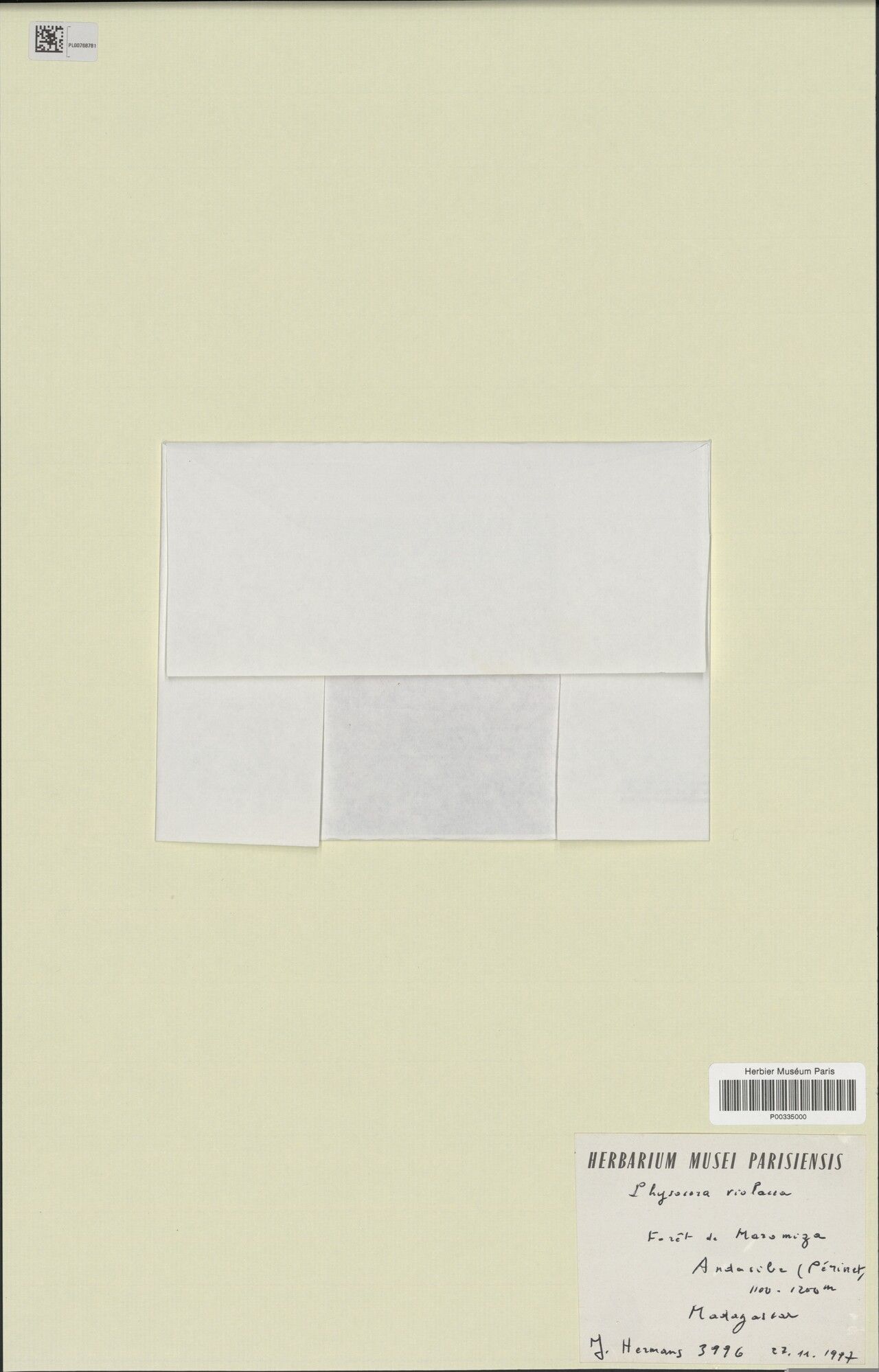 Cynorkis hyacinthina — houseplant care guide