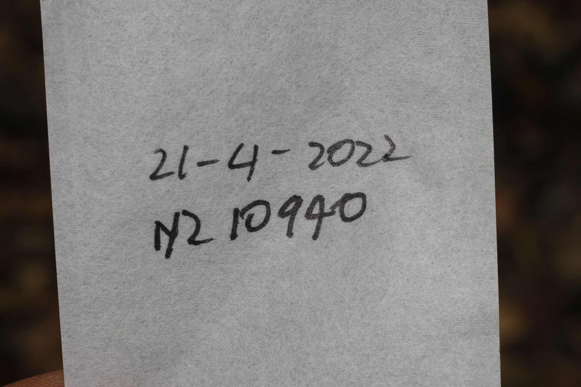 Cestrum glanduliferum other