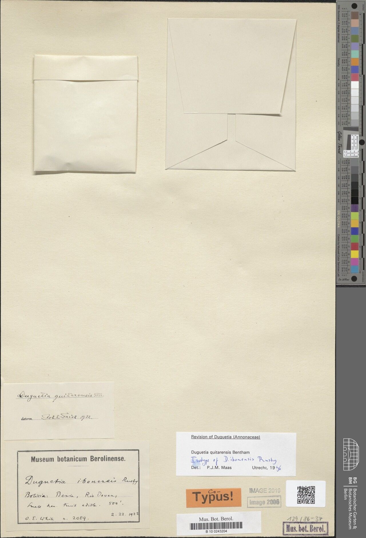 Duguetia quitarensis other